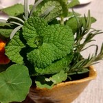 ヒカリヤ ニシ - ガスパチョが入った容器