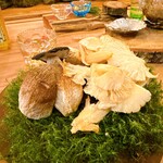 Seminare 輕井澤 - ススケヤマドリダケ(覚えるのに10回は聞いた)とウスヒラタケ