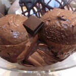 バニラビーンズ - 