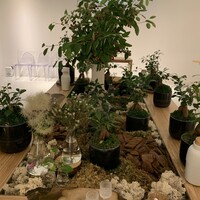 ENEKO Tokyo - 