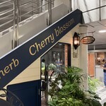 Curry&herb Cherry blossom - 