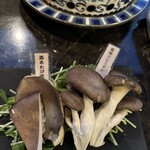 シャングリラズシークレット - 