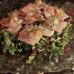 THE COMMA,Italian Terrace NAMBA - 