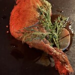 THE COMMA,Italian Terrace NAMBA - 