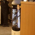 カフェ風車 - 配膳ロボット