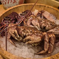 かにじぇんぬ 北新地 - 