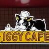 IGGY CAFE