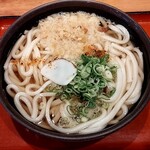 麺家プラス　さがの - 料理写真:かけうどん特盛