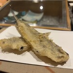 天ぷら 銀座おのでら - 白身魚