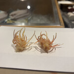 天ぷら 銀座おのでら - 車海老 足