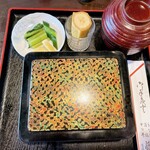 藤舟 - 