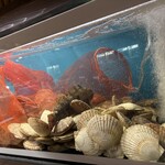 地酒と道産食材 一笑 ～丙～ - 