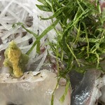 和料理　まつもり - 