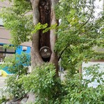 nakameguro SLOW TABLE - 