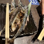 やひろ丸 新橋港 - 