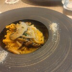 グリリアート クオッカ - 