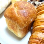 ダンディゾン - クルスティヨン