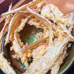 大地のうどん - 料理写真: