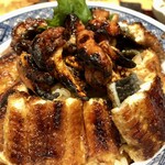 濱松地焼 鰻 まさ - 