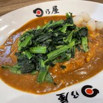 日乃屋カレー - 料理写真: