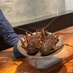 馳走西健一 - 伊勢海老　すごく動く！