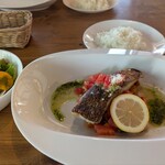 アルビコッカ - 