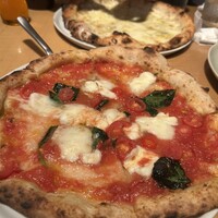 THE RIGOLETTO - 