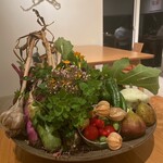 アグリスケープ - 