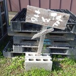 まん作 - 今日もおいしくいただきました