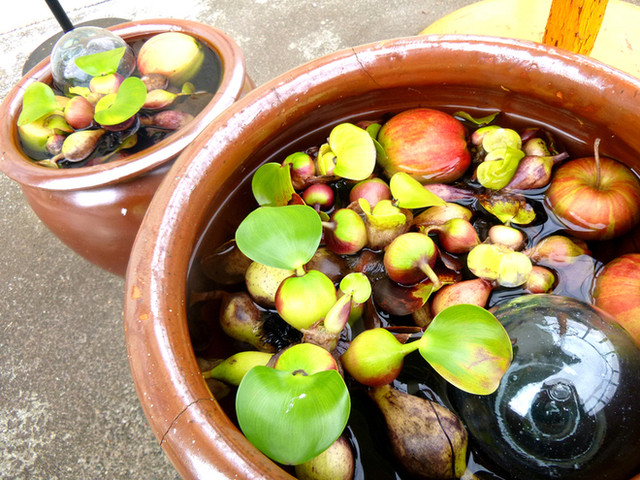コハム（cohum） - 壮瞥町その他（カフェ）の写真