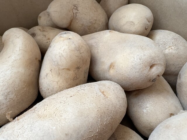 大正 メークイン 物産店 本店 - 帯広市その他（その他）の写真