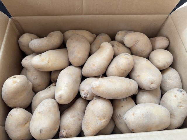 大正 メークイン 物産店 本店