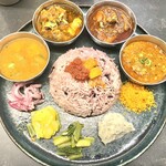 Curry Spice Gelateria KALPASI - 