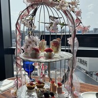 渋谷 Blue bird - 