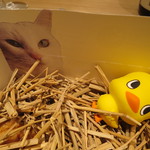 神保町 傳 - 傳タッキー（えこだねこバージョン　笑） インカのめざめ、アーモンド、黒トリュフ1