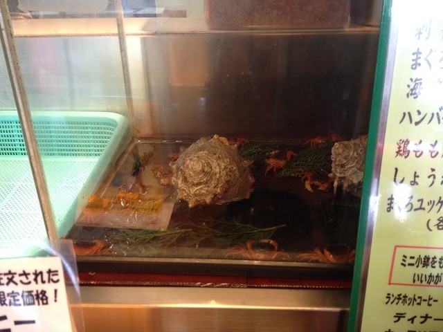 Robata Yaki Tsukiji Shimane Ten photo 4