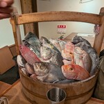 なきざかな 新宿店 - 