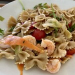 Break Cafe Catania - 小海老とトマトや野菜のファルファッレ(かな？)