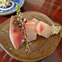 あそび割烹 さん葉か -  あそび割烹 さん葉か -