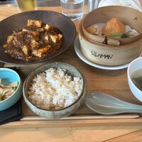 STEAMAN - 