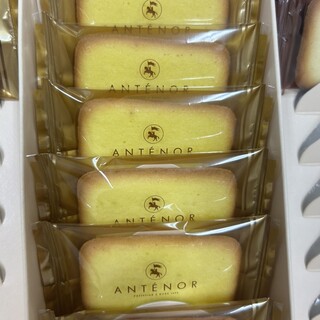 アンテノール_0