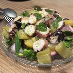 テッラ イタリアーナ - 