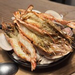 テッラ イタリアーナ - 