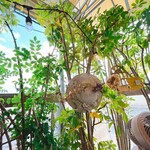 魔女のちいさな森のハンバーガー - 