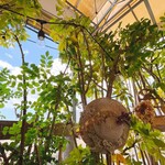 魔女のちいさな森のハンバーガー - 