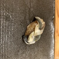 秀徳 2号店 - 
