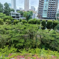 てんぷら 山の上 Roppongi 東京ミッドタウン店 - カウンターからの景色
