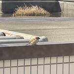 関門の宿　源平荘 - 