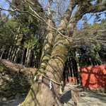 多武峰観光ホテル - 