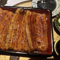 うなぎ 目白ぞろ芽 - 